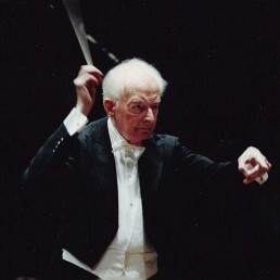 h&auml;nssler classic k&uuml;nstler wand g&uuml;nter