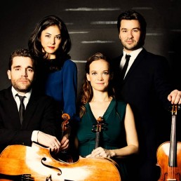 h&auml;nssler classic k&uuml;nstler minetti quartett