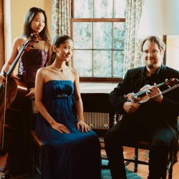 h&auml;nssler classic k&uuml;nstler mori trio