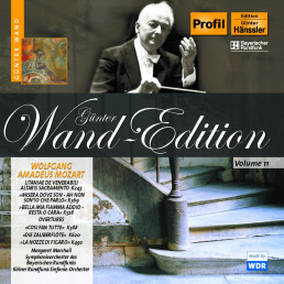 Wand Edition Vol.11