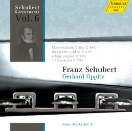 Klavierwerke Vol.6