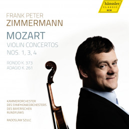 Violinkonzerte 1